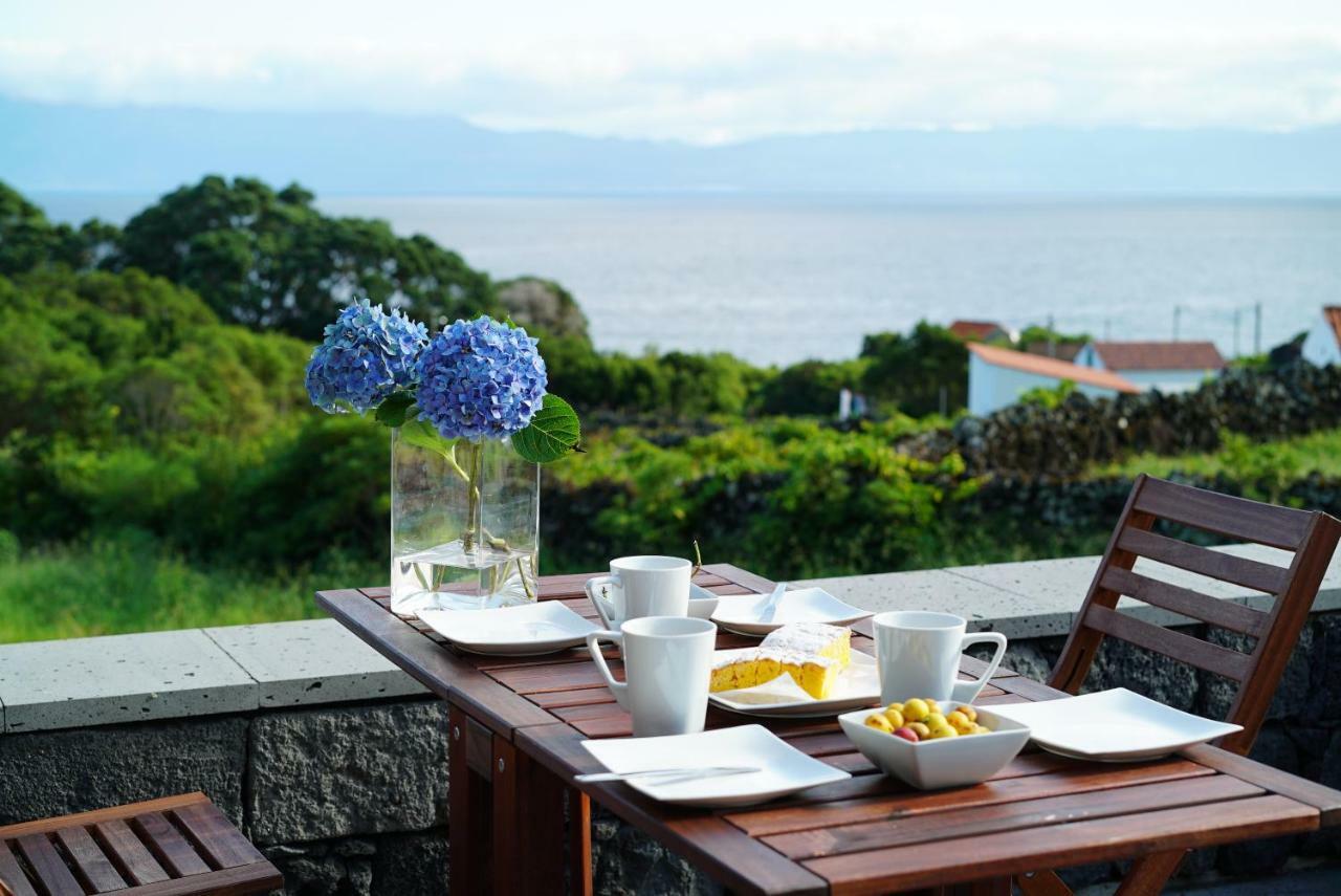 Casa Do Cedro Do Mato Villa Terra Alta Eksteriør bilde