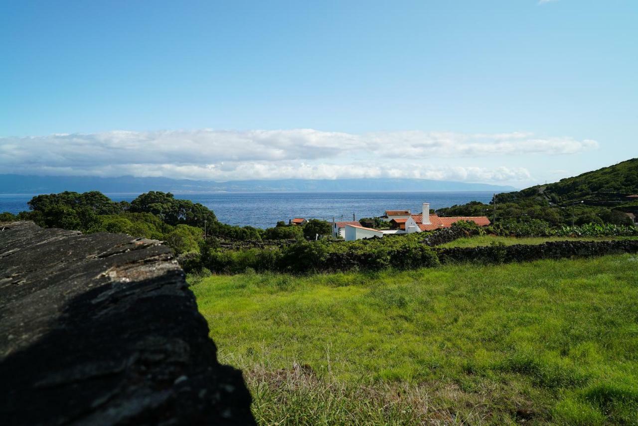 Casa Do Cedro Do Mato Villa Terra Alta Eksteriør bilde